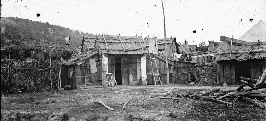 Bark huts & temple in Chinatown, Tambaroora, ON 4 Box 12 No 80012 Digital order no: a2822973 State Library of NSW