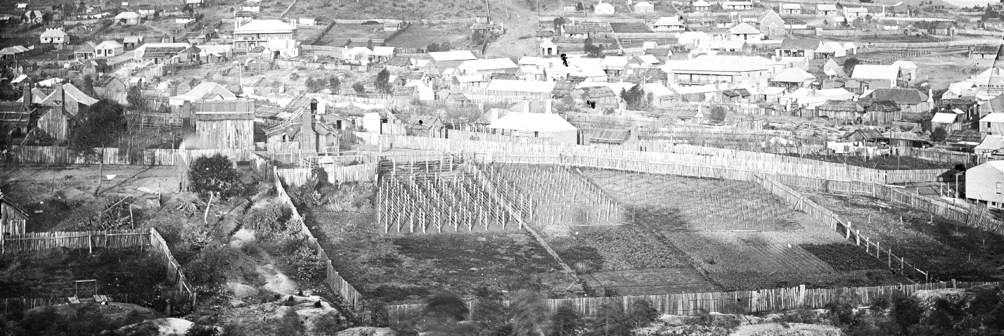 A section of the Panorama of Hill End, showing Germantown and the vines and gardens of the German settlers in the foreground. ON 4 Box 6 No 18591b Digital order no: a2822483 State Library of NSW
